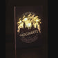 Harry Potter - Hogwarts Light Up Wall Art
