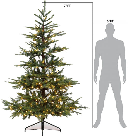 7' Pre-Lit Nordman Fir