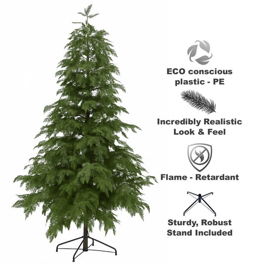 7' Cypress Fir